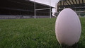 Y Gêm Hwyr: Gleision v Dreigiau: Sun, 27 Dec 2009