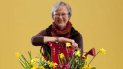 Gardeners' Corner: Sat, 19 Dec 2009
