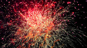 The Hogmanay Show: The Hogmanay Show