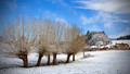 The Willows in Winter: Episode 3