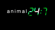 Animal 24:7: Episode 15