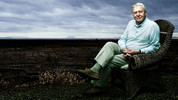 David Attenborough's Life Stories: 9. Salamander