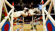 Olympia Horse Show: World Cup Show Jumping: The Puissance 2009