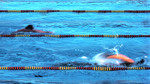 Swimming: Duel in the Pool