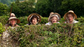 Cranford: Under the Bonnet: Sun, 27 Dec 2009