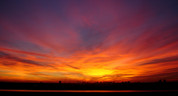 Morning Reports: Sun, 03 Jan 2010