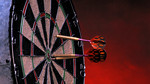 World Darts: 2010: Day 6‚ Part 1