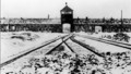 Our World: Breaking into Auschwitz