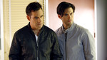 Heroes: Series 4: Brother's Keeper