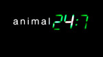 Animal 24:7: Series 6: Episode 19