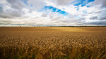 Farming Today: 31/08/2010