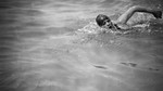 Afternoon Play: The Great Swim