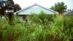 Costing the Earth: Katrina: An Unnatural Disaster