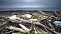 Fake Plastic Sea