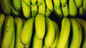 Cut Price Fruit