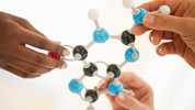 Science: From Cradle to Grave