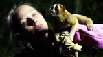 Natural World: 2011-2012: Jungle Gremlins of Java