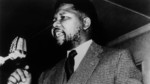The World Against Apartheid: Have You Heard from Johannesburg?: Fair Play