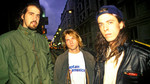 Here We Are Now, Entertain Us: Celebrating Nevermind