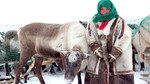 Crossing Continents: Russia's New Energy Frontier