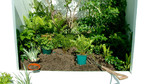 Gardeners' Question Time: Malvern Spring Gardening Show