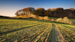 Farming Today: 14/05/2012
