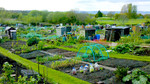 Gardeners' Question Time: Thornbury, South Gloucestershire