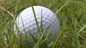 The Golf Show