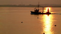 Good Morning Devon: Wed, 25 Nov 2009