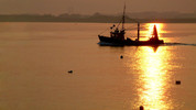 Good Morning Devon: Fri, 25 Dec 2009